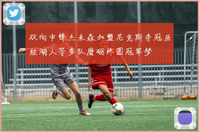 双向中锋杰米森加盟尼克斯夺冠历经湖人等多队磨砺终圆冠军梦