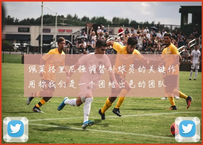 佩莱格里尼强调替补球员的关键作用称我们是一个团结出色的团队
