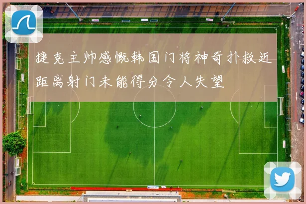 捷克主帅感慨韩国门将神奇扑救近距离射门未能得分令人失望